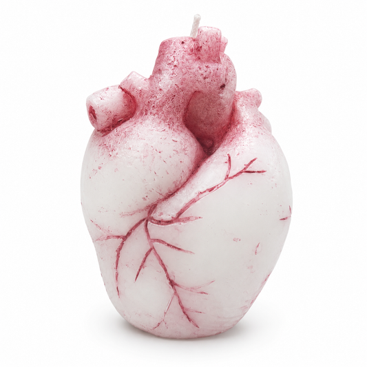 AVJ Collection Anatomical Heart Candle – Handmade Scary Halloween Candle, Gothic Horror Décor, Creepy Heart-Shaped Candle for Parties and Unique Gifts