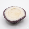 Handcrafted 
Shell-Shaped Soy Candle – Hand-Poured Decorative Double Wick Candle | AVJ Collection